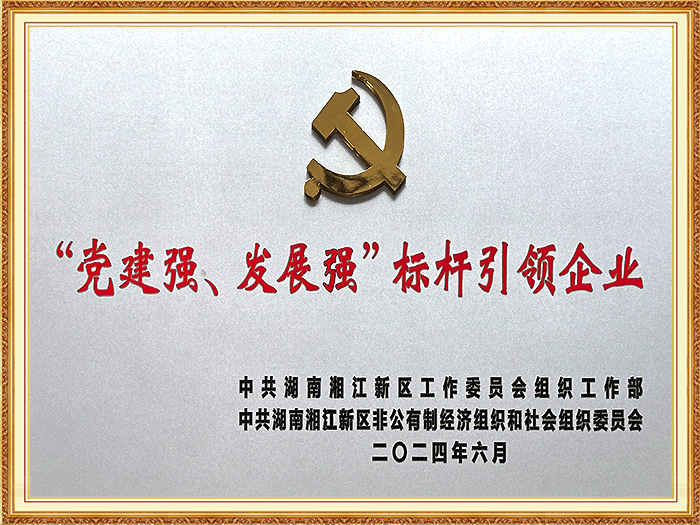 党建强、发展强、标杆引领企业（湘江新区）