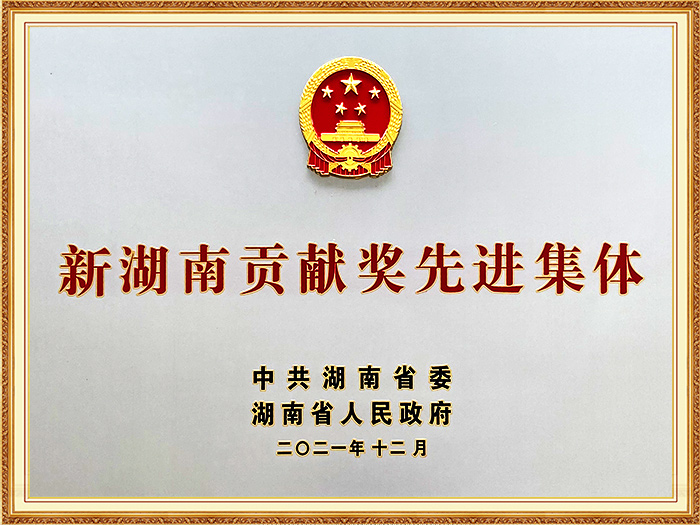 新湖南贡献奖先进集体